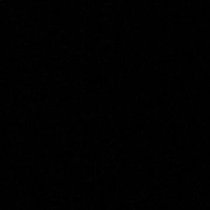 Meet your Posher, Tre’